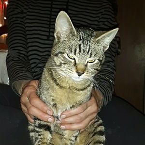 Meet your Posher, Penny